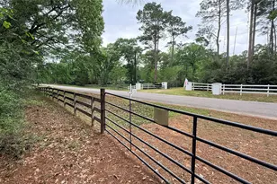 225 Pelican St, Magnolia, TX 77355 - Photo 3