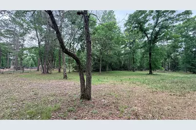 225 Pelican Street, Magnolia, TX 77355 - Photo 7