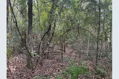 0000 Overstreet Loop, Kountze, TX 77625 - Photo 5