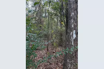 0000 Overstreet Loop, Kountze, TX 77625 - Photo 3