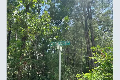 Tbd E Moonlight Drive, Onalaska, TX 77360 - Photo 9