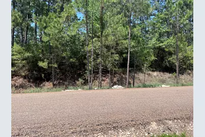 Tbd E Moonlight Drive, Onalaska, TX 77360 - Photo 5