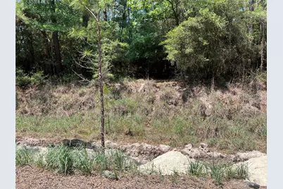 Tbd E Moonlight Drive, Onalaska, TX 77360 - Photo 7