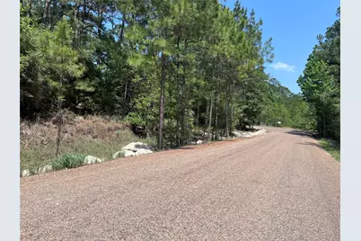 Tbd E Moonlight Drive, Onalaska, TX 77360 - Photo 3