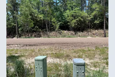 Tbd E Moonlight Drive, Onalaska, TX 77360 - Photo 3