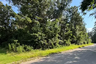 0 Hickory Ln, Splendora, TX 77372 - Photo 1