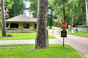 220 April Waters Dr W, Montgomery, TX 77356 - Photo 41