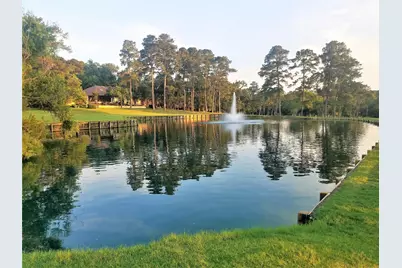 220 April Waters Drive W, Montgomery, TX 77356 - Photo 45