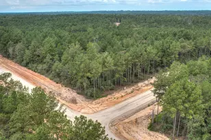 4848 Red Coyote Ln, Montgomery, TX 77316 - Photo 1