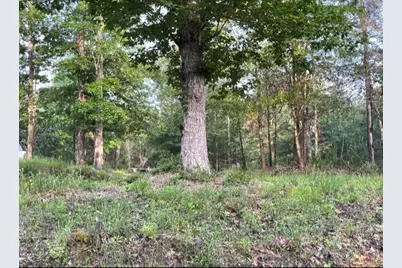 5566 County Road 451, Kirbyville, TX 75956 - Photo 3