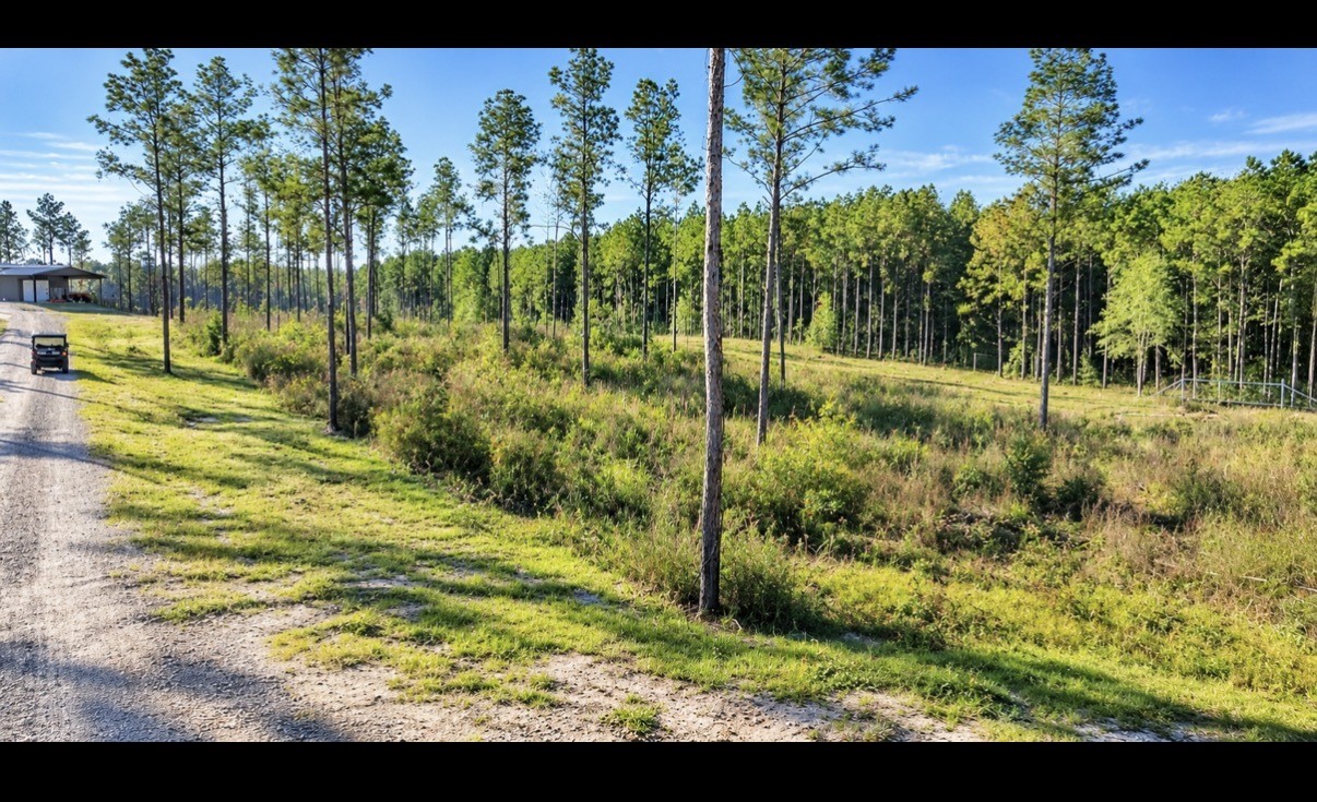 Lot 2 Black Buck Dr Dr, Moscow, TX 75960 - MLS 95605078 - Coldwell Banker
