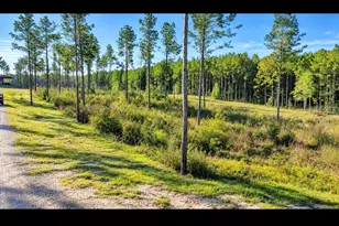 Lot 2 Black Buck Dr Dr, Moscow, TX 75960 - Photo 1