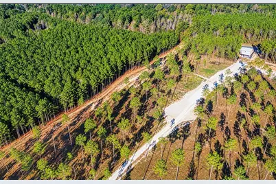 Lot 2 Black Buck Drive Drive, Moscow, TX 75960 - Photo 5