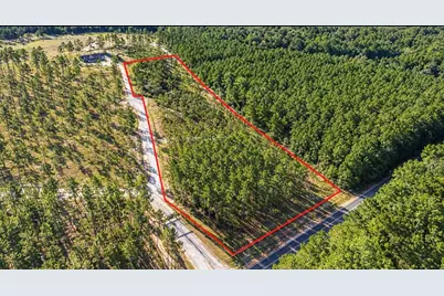 Lot 2 Black Buck Drive Drive, Moscow, TX 75960 - Photo 3