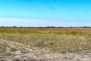 1293 McDonald Rd, Eagle Lake, TX 77434 - Photo 1