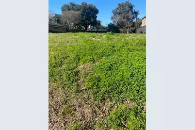 3614 N Braeswood Boulevard, Houston, TX 77025 - Photo 5