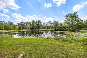 167 County Rd 3185, Cleveland, TX 77327 - Photo 33