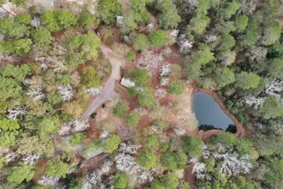 215 Fm 2929 Road, Huntsville, TX 77340 - Photo 47