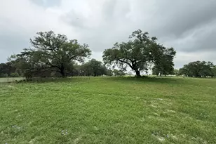 5719-6 Farm To Market 2238, Schulenburg, TX 78956 - Photo 1