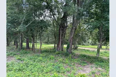 Tbd N Mount Mariah Road, Montgomery, TX 77356 - Photo 3