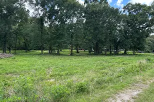 Tbd N Mount Mariah Rd, Montgomery, TX 77356 - Photo 1
