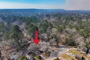 26621 Orchid Ct, Huntsville, TX 77320 - Photo 23