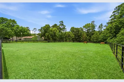 16903 Mustang Trail Drive, Magnolia, TX 77355 - Photo 39