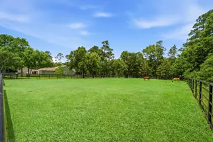 16903 Mustang Trail Dr, Magnolia, TX 77355 - Photo 39