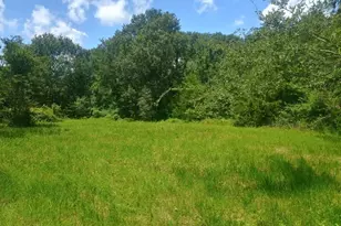 38241 Wiggins Rd, Hempstead, TX 77445 - Photo 7