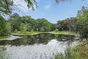 3906 Co Rd 157, Bedias, TX 77831 - Photo 47