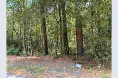 3665 E Railroad, Vidor, TX 77662 - Photo 5