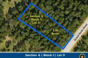 11756 Grand N Rd, Willis, TX 77378 - Photo 1