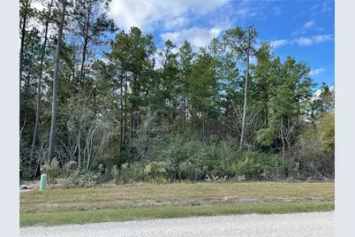 11756 Grand North Road, Willis, TX 77378 - Photo 5