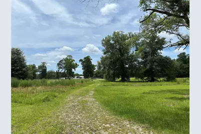 35599 State Highway 87 S, Buna, TX 77612 - Photo 7