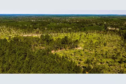 008 Buddy Lloyd Rd, Livingston, TX 77351 - Photo 5