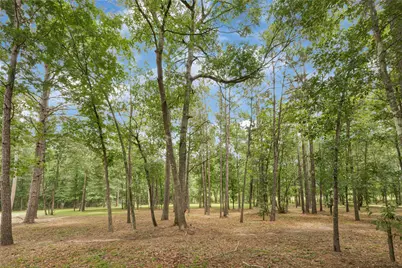 182 Stagecoach Circle, Huntsville, TX 77340 - Photo 47
