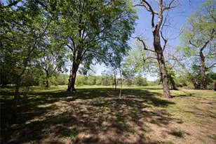 9035 Brazos River Rd, Damon, TX 77430 - Photo 23