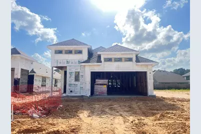 221 Violet Crown Lane, New Caney, TX 77357 - Photo 3