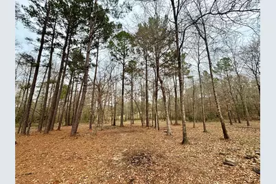 1580 Fm 1745 N, Colmesneil, TX 75938 - Photo 31