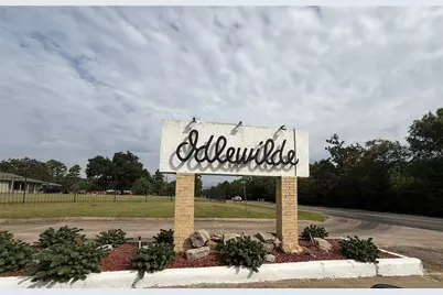 508 Rals Drive, Onalaska, TX 77360 - Photo 41