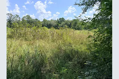000 Old Sour Lake Road, Saratoga, TX 77585 - Photo 5