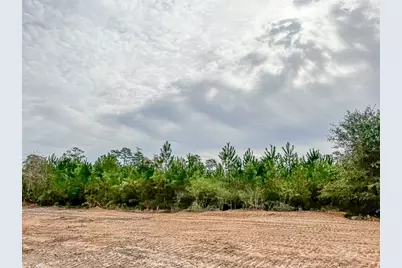 0020 Cr 2305 S, Moss Hill, TX 77327 - Photo 5