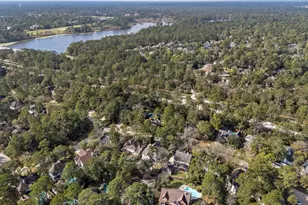 173 Purple Slate Pl, The Woodlands, TX 77381 - Photo 39