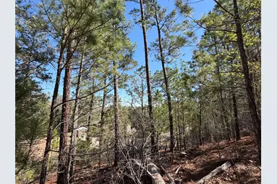 Tbd Mamalu Drive, Bastrop, TX 78602 - Photo 3