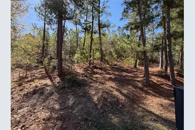 Tbd Mamalu Drive, Bastrop, TX 78602 - Photo 13