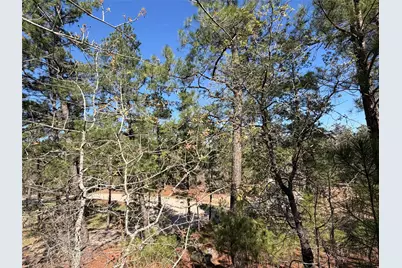 Tbd Mamalu Drive, Bastrop, TX 78602 - Photo 5