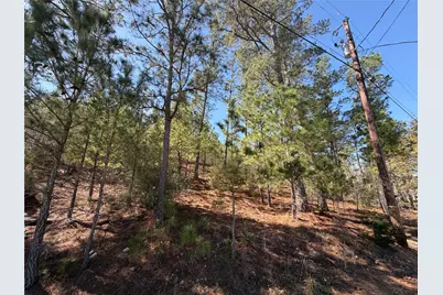 Tbd Mamalu Drive, Bastrop, TX 78602 - Photo 15