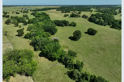 Tract #7 Cr 305 Road, Navasota, TX 77868 - Photo 3