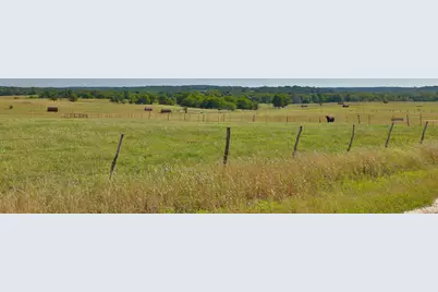Tract #7 Cr 305 Road, Navasota, TX 77868 - Photo 7