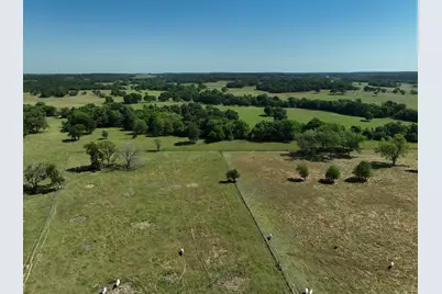 Tract #7 Cr 305 Road, Navasota, TX 77868 - Photo 1